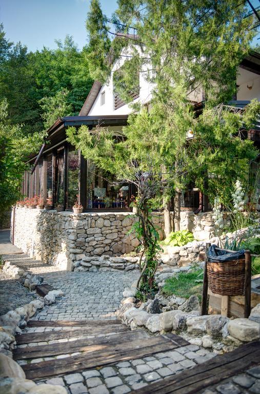 Pensiune-Restaurant Tara Luanei Sărata-Monteoru Dış mekan fotoğraf